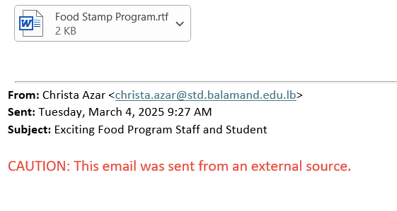 screenshot of the phishing email described below