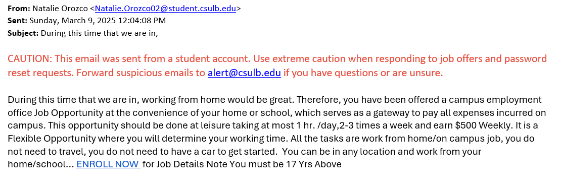 screenshot of the phishing email described below