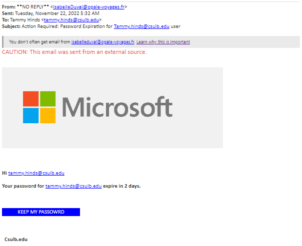 screenshot of the phishing email described below