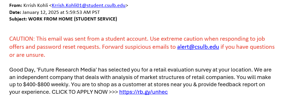 screenshot of the phishing email described below