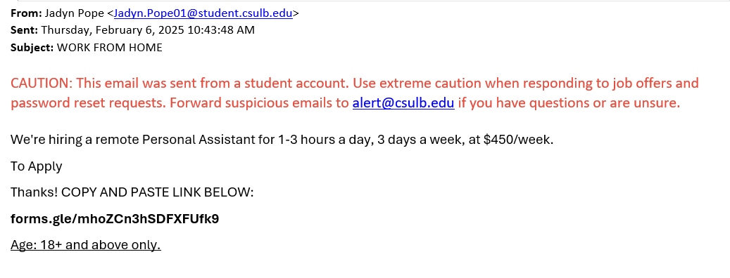 screenshot of the phishing email described below